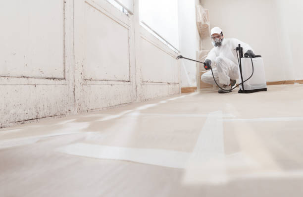 24/7 Emergency Mold Testing experts in Bellevue, PA