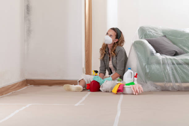 Reliable Mold Testing contractor in Bellevue, PA by WQB Mold Removal